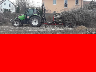 10_entsorgung_schnittgut_3