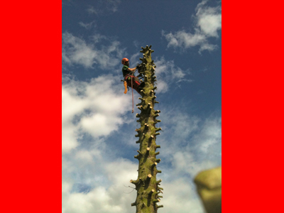 2_seilklettertechnik_2